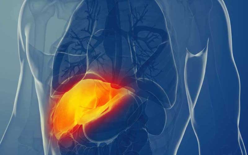 El Hígado metabólico y las especialidades de la Medicina Interna